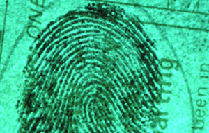 Fingerprint examination example